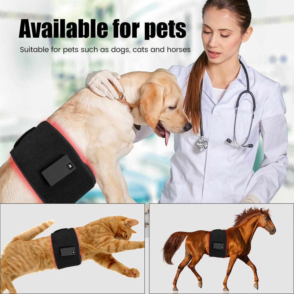 Charged Rechargeable 660 nm / 850 nm LED Therapy Belt