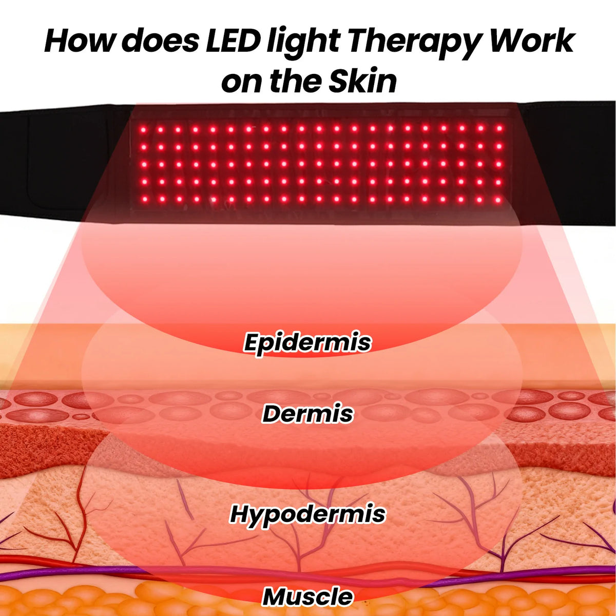 Redipy CoreRelif Red & Near-Infrared Therapy Belt